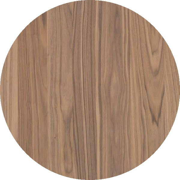 Frozen Walnut Veneer