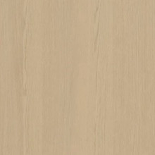 Desert Oak