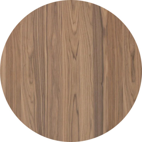 Frozen Walnut Veneer