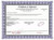 2.00 carat Round Diamond Band Platinum Anniversary Ring 5 x 0.40 ct GIA G VS2