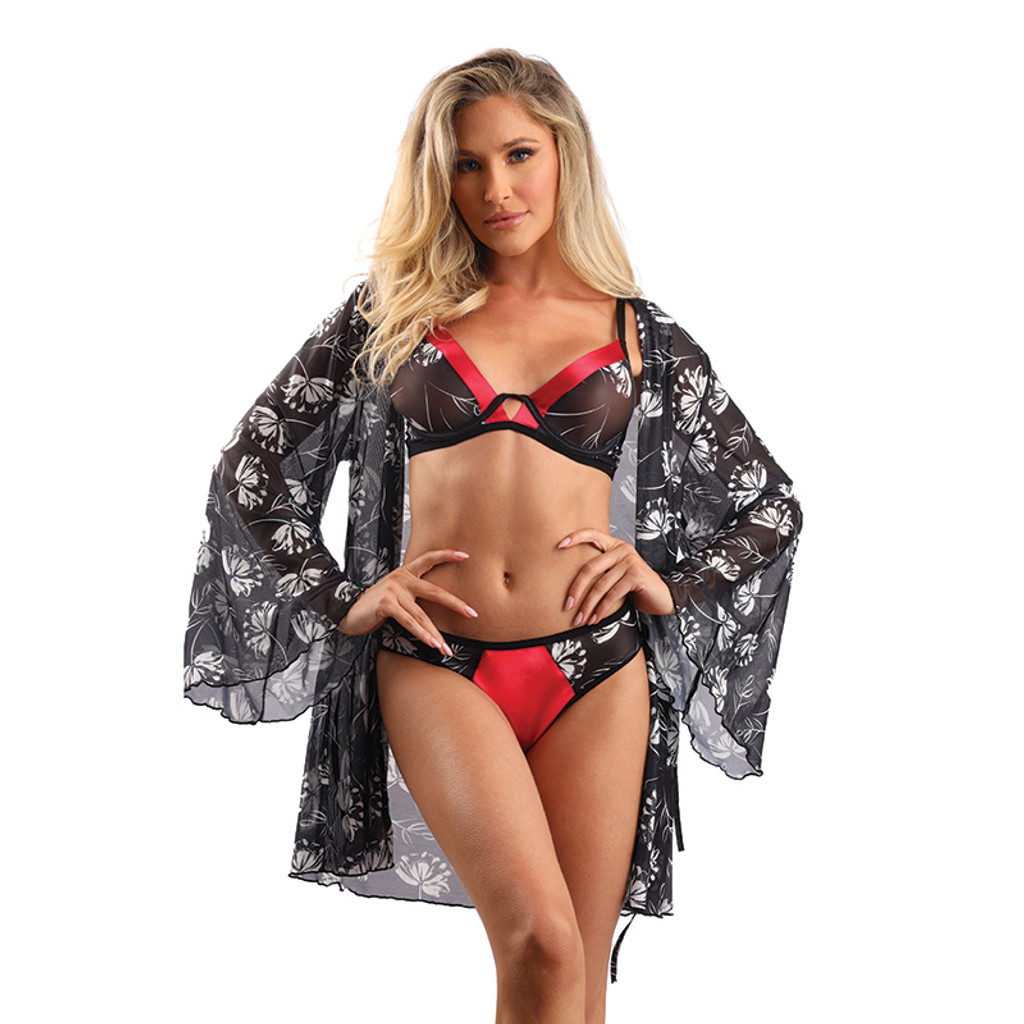 Red Fantasy Lingerie Floral Mesh with Satin Trim Bra & Matching Panty Set - Front
