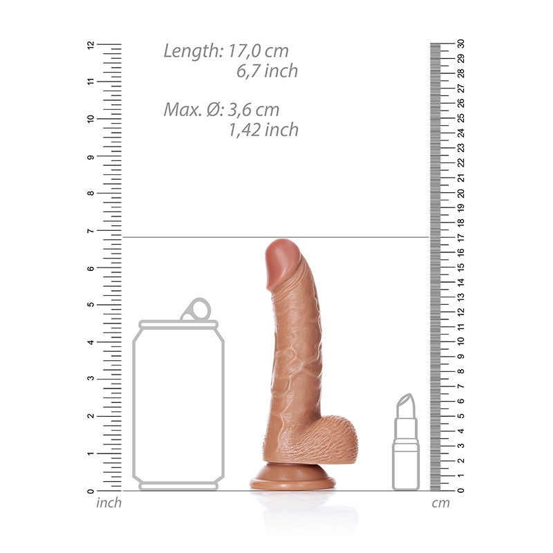 Tan Shots RealRock 6" Realistic Curved Dildo with Balls - Measurements