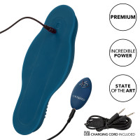 CalExotics Dual Rider Remote Control Bump & Grind - Charging