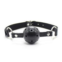 Plesur Company Deluxe 14-Piece Bondage Kit - Breathable Ball Gag