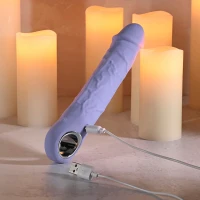 Evolved Novelties Large Purple Fantasy Realistic Vibrator - Charging