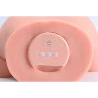Stroker Kings Ultimate Booty Vibrating Ass & Pussy Moaning Masturbator - Controls Detail