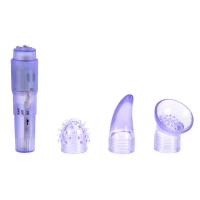 Purple CalExotics First Time Travel Teaser Kit - Group