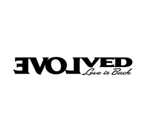 Evolved Novelties