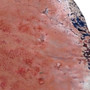 دیوارکوب سرامیک مدل سرخرگ