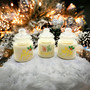 Handmade Holiday Candle – Natural CocoSoy Wax with poinsettia Design in Festive Jar