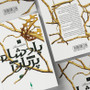 شاهزاده سنگدل: پادشاه پریان جلد 1