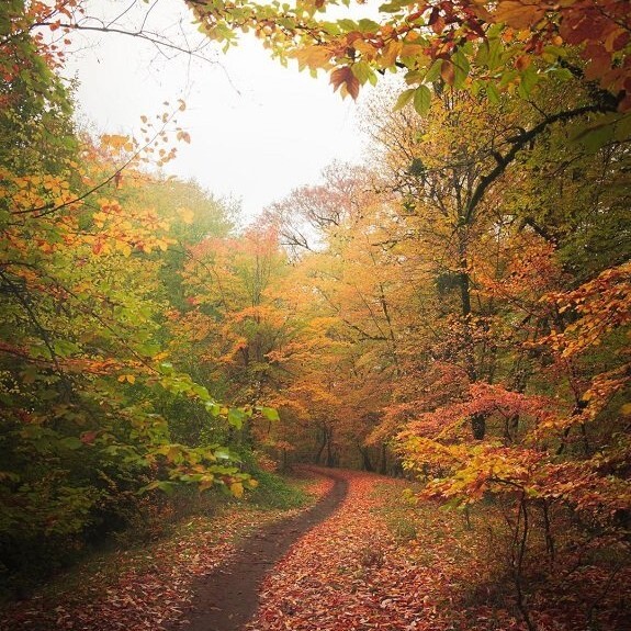 سوغات گرگان