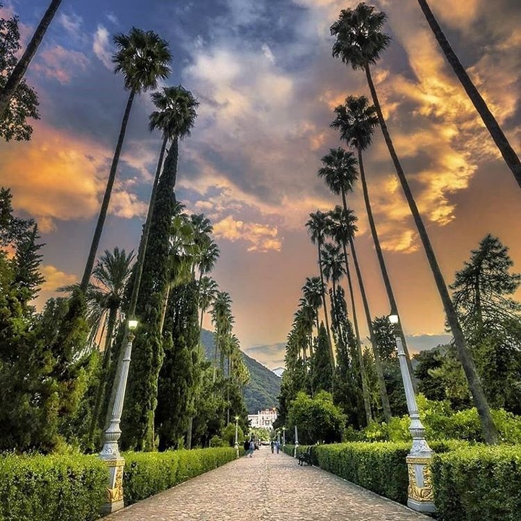 سوغات مازندران