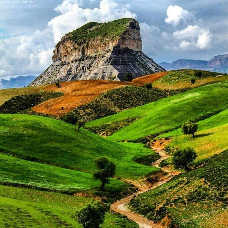 سوغات ایلام