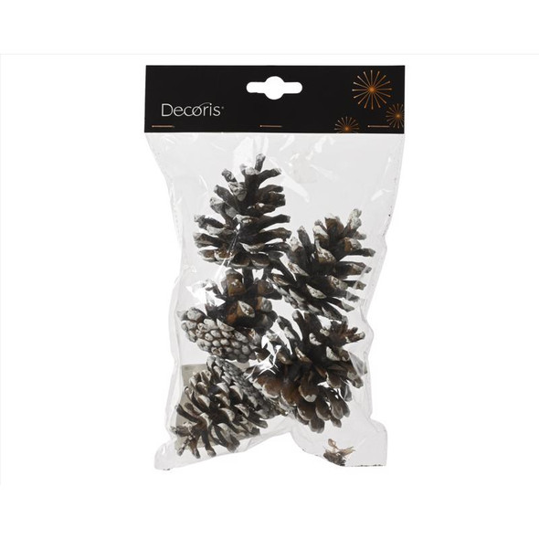 CMAS PINECONE 5PC