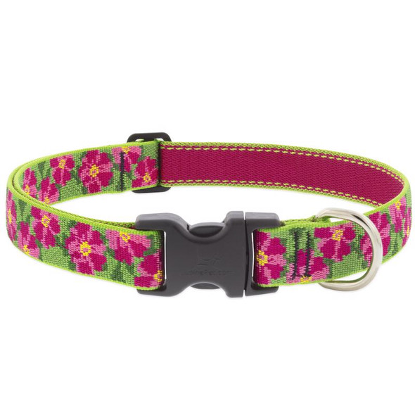 DOG COLLAR 12-20"PET ADJ