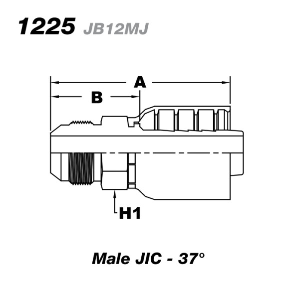 Size Graph