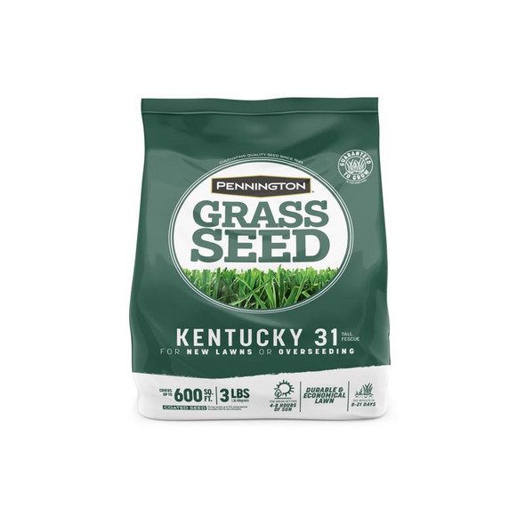 Pennington Kentucky 31 Tall Fescue Grass Seed – 3 lb Bag for Small Lawns