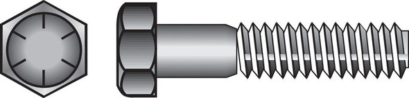 HX CP G8 NC Y 5/16X3 1/2