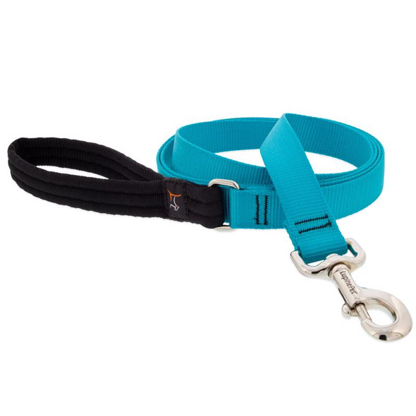 LEASH 6' AQUA NYLON