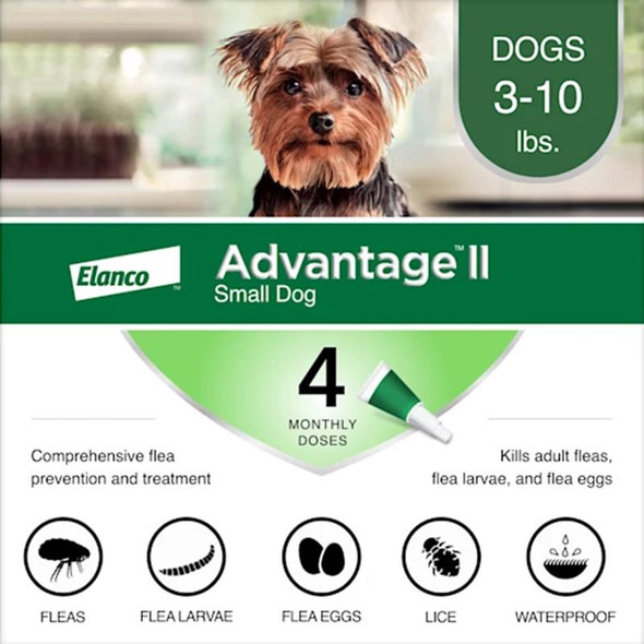 Elanco Advantage II Flea Drops for Dogs – Liquid Topical Treatment with Imidacloprid and Pyriproxyfen