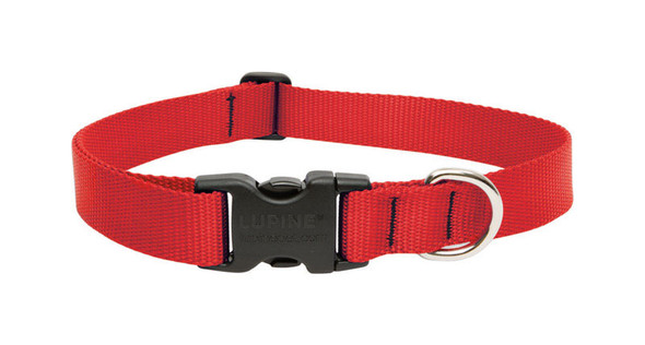 LupinePet Adjustable Dog Collar in Red, 12 to 20 Inches