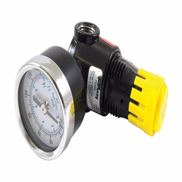 MNI REGULATW/GAGE 300PSI