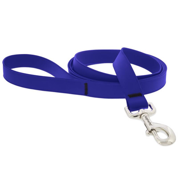LEASH 6' TRUE BLU NYLON