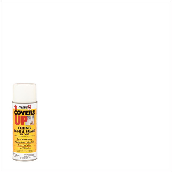 PAINT CEILING COVERSUP
