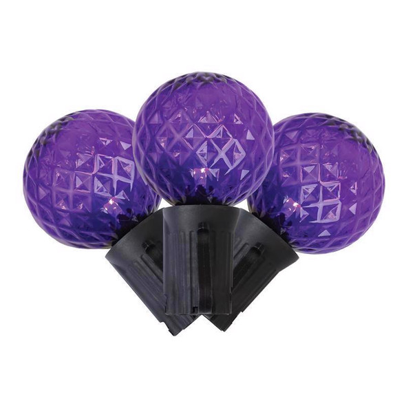 Celebrations G40 Halloween Purple String Lights - 25 LED Bulbs