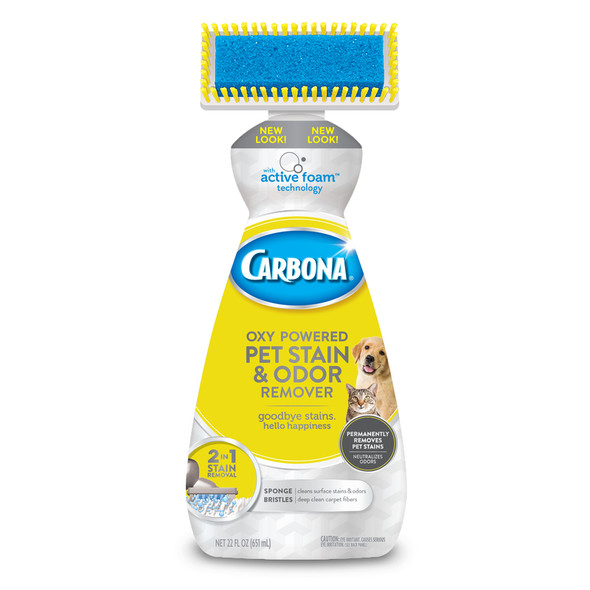 STAIN/ODOR REMOVER 22OZ