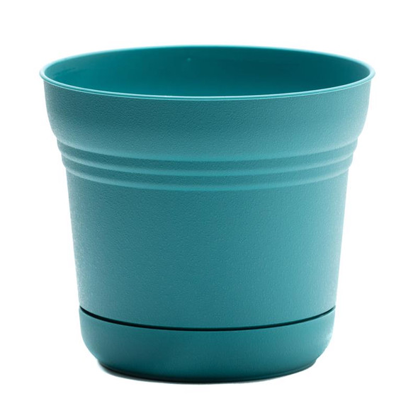 PLNTR SATRN BER TEAL 12"