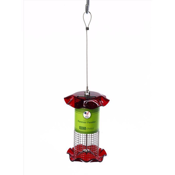 BIRD FEEDER WILD BIRD RD