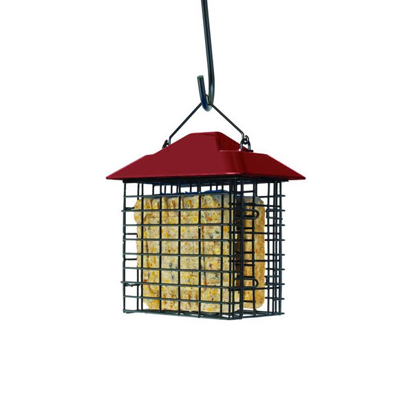 DOUBLE SUET CAGE