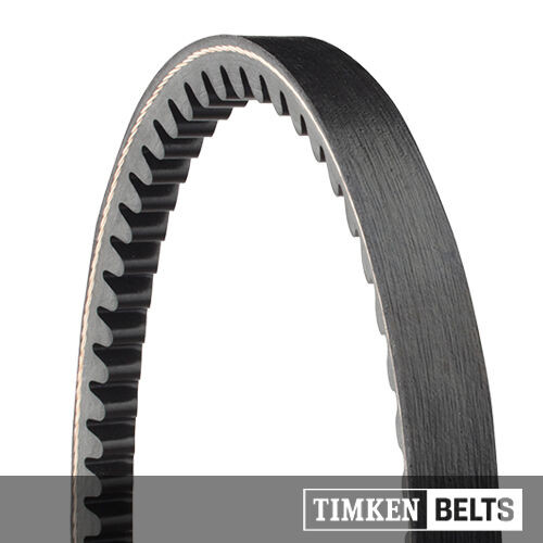 CARLISLE BELT GOLD-LABEL AX46