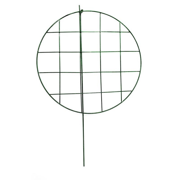 PLNT SPRT MTL GRN 24"