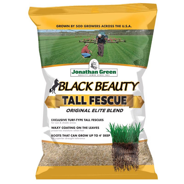 GRASS SD TALL FSC GRS 7#