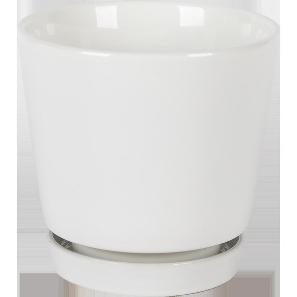 SAUCERPOT 6" FLAIR WHT