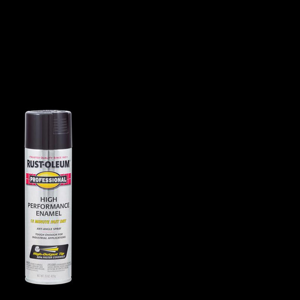 SPRYPAINT PRO GL BLK15OZ