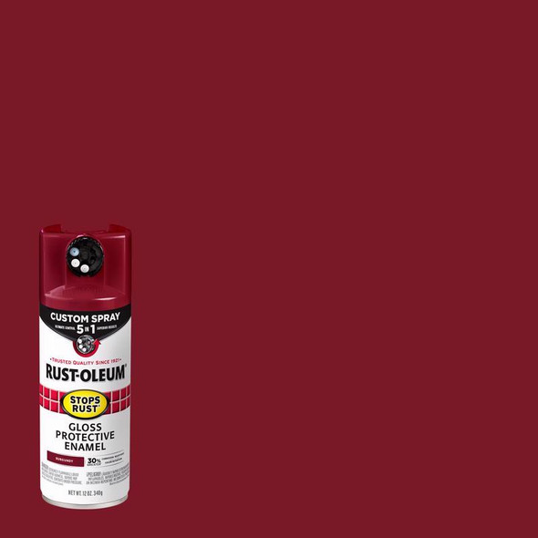 SR 5IN1 SPRY GLS BG 12OZ