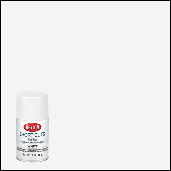 SPRAY PAINT FLAT 3OZ WHT
