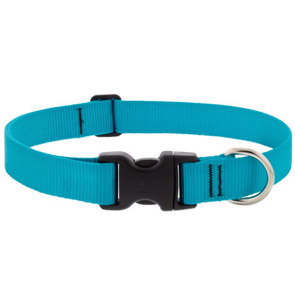 DOG COLLAR 12X20" AQUA