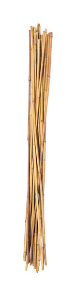 Panacea Bamboo Stake 36-Inch - Pack of 24 for Garden Support and Plant Stability