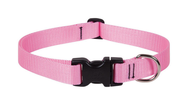 LupinePet Dog Collar, Adjustable Pink Nylon Collar for Dogs, 12 to 20 Inches