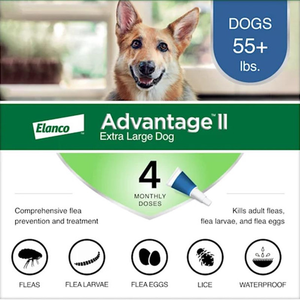 Elanco Advantage II Flea Drops for Dogs, 0.54 fl oz - Topical Flea and Tick Treatment