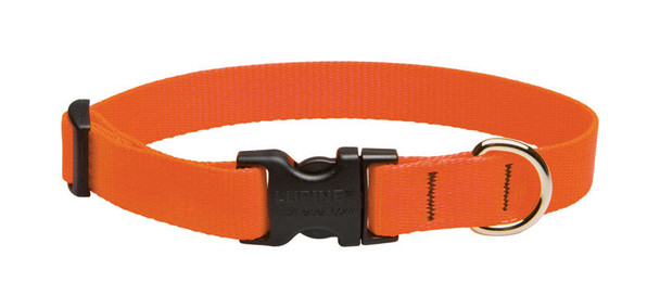 LupinePet Adjustable Dog Collar - Blaze Orange, 9 to 14 inches