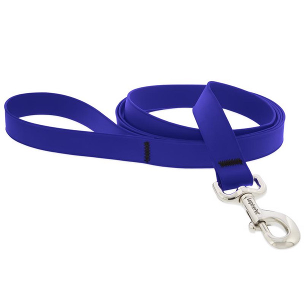 LEASH 6' TRUE BLU NYLON