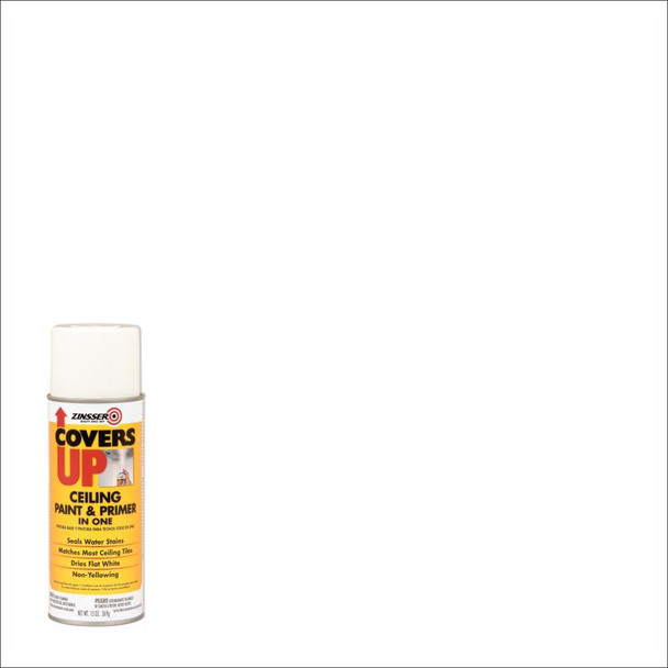 PAINT CEILING COVERSUP