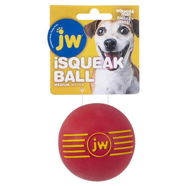 JW Pet iSqueak Medium Rubber Dog Toy Ball - Assorted Colors