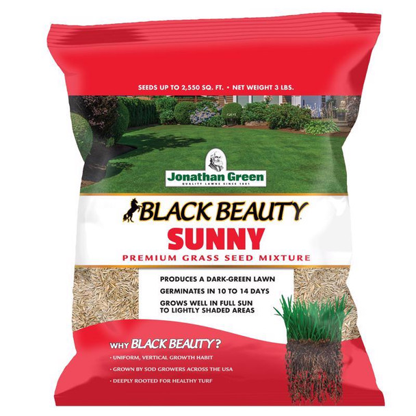 GRS SEED BLKBTY SUN 7#